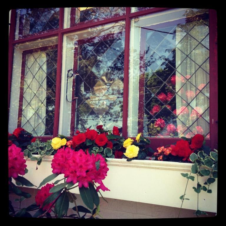 Belgravia B&B Truro Extérieur photo